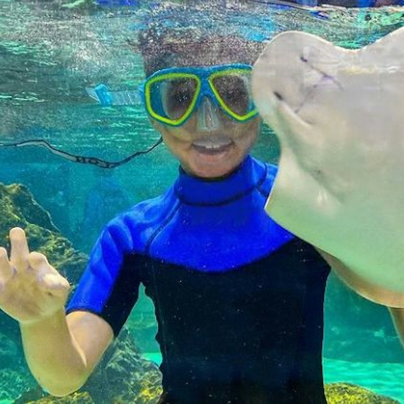 SeaQuest Fort Worth - Photo 1 of 5